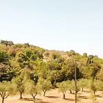Podere Barlo * Campiglia Marittima