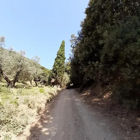 Podere Barlo Διαμέρισμα