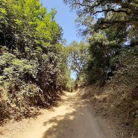 Podere Barlo Διαμέρισμα Campiglia Marittima