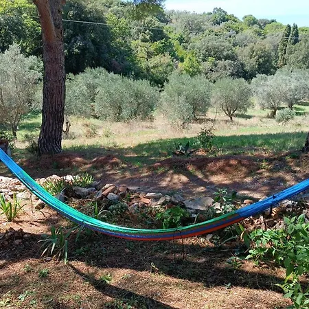 Podere Barlo * Campiglia Marittima