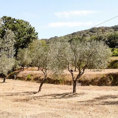 Podere Barlo * Campiglia Marittima