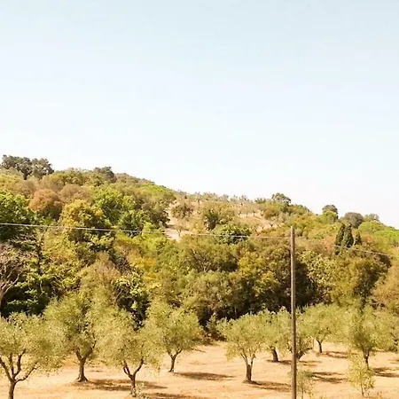 Podere Barlo * Campiglia Marittima
