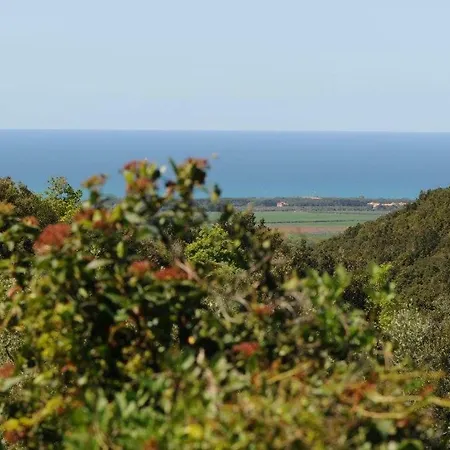 Διαμέρισμα Podere Barlo